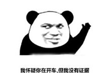 我怀疑你在开车但是我没有证据来源出处介绍