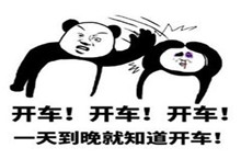 我怀疑你在开车但我没有证据表情包分享