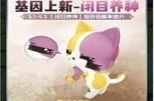 一起来捉妖小可怜基因配方介绍