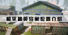 和平精英鸟巢位置一览