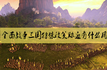 全面战争三国特殊政策胁迫作用介绍