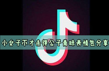 小女子不才未得公子青睐表情包分享