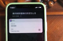 树新蜜蜂用英语怎么说什么梗