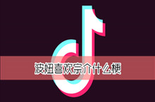 波妞喜欢宗介什么梗