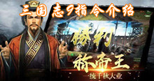 三国志9指令介绍