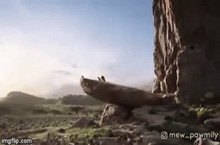 狮子王举高高表情包