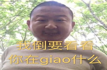 giao哥表情包大全