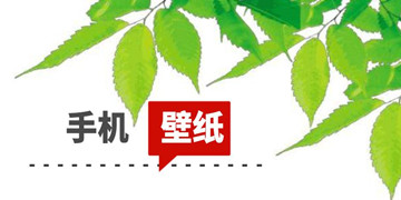 手机壁纸