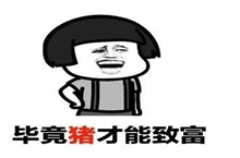 抖音我养你啊毕竟养猪致富表情包