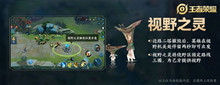 王者荣耀视野之灵召唤攻略