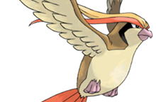 宝可梦大探险波波进化技能及宾果推荐