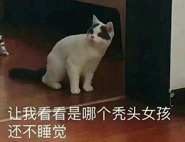 秃头男孩女孩必备表情包分享