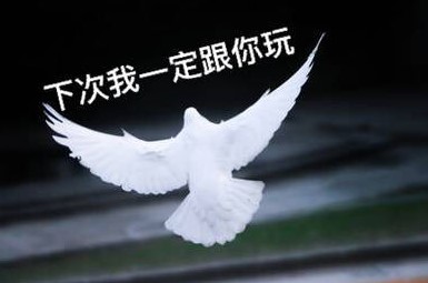 抖音下次一定表情包分享