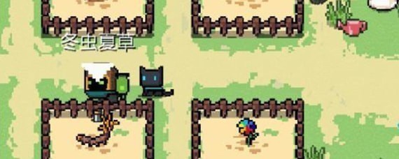 元气骑士种植冬虫夏草有什么作用