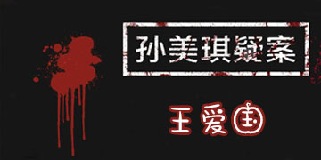 孙美琪疑案王爱国攻略大全