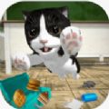 猫咪模拟器