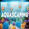 AQUASCAPING