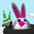 Bunny Slope