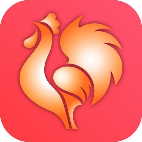 大公鸡七星彩奖表旧版