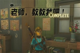 王国之泪老师教教我吧迷你挑战任务攻略