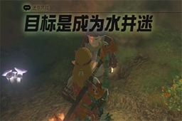 王国之泪目标是成为水井迷迷你挑战攻略