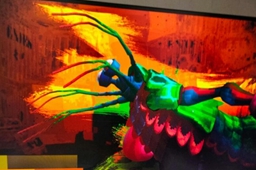 潜水员戴夫螳螂虾打法技巧攻略