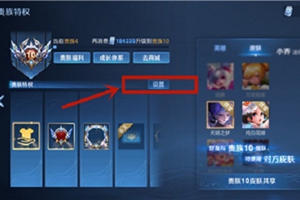 《王者荣耀》皮肤共享关闭方法