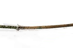 《遗迹2》森之缘获取方法