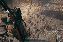 《遗迹2》腐烂的塞恩果用途