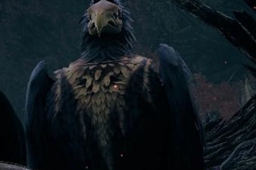 《遗迹2》柯亚拉库里护符获取方法介绍