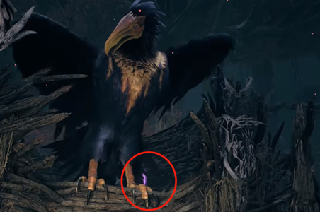 《遗迹2》遥远森林鸟离开鸟巢方法