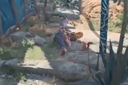 《博德之门3》阿尔菲拉位置