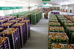 农产品销售购物软件推荐