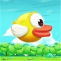 碰撞的小鸟游戏